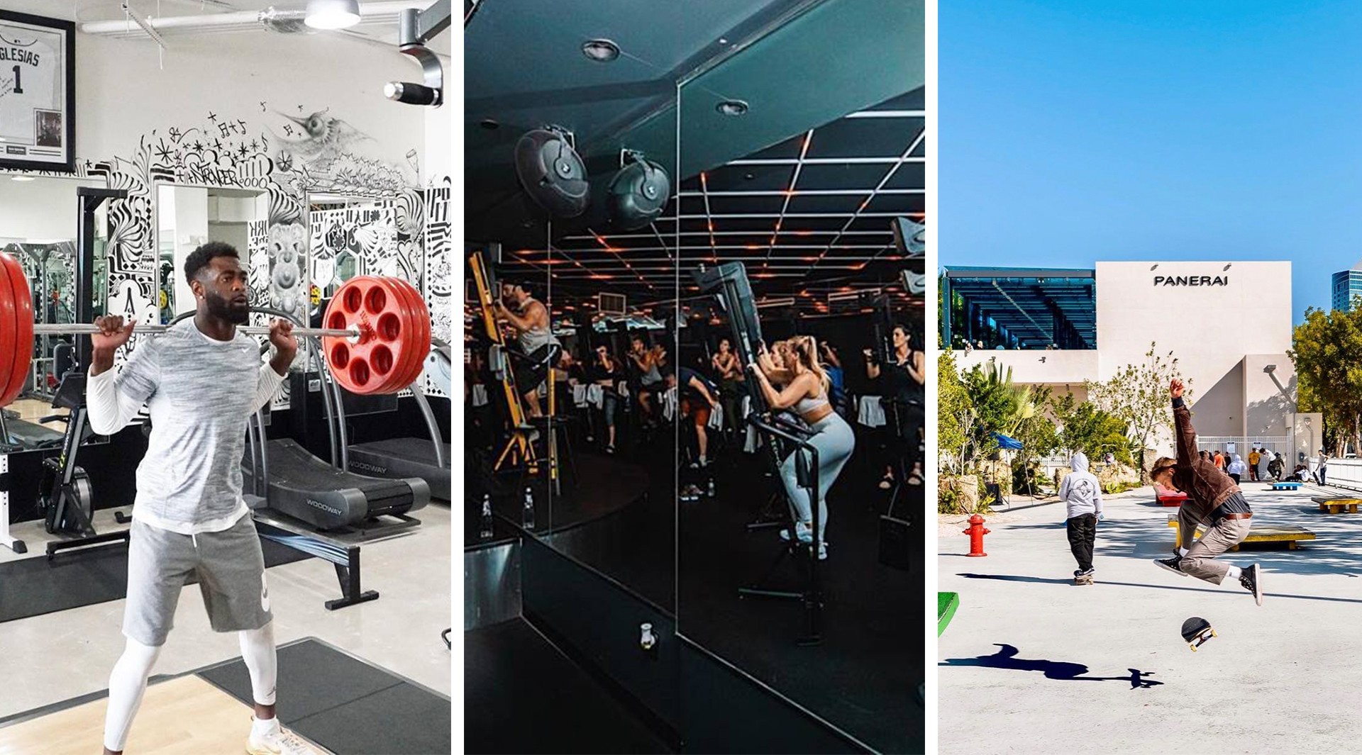 Design a Better You: Daily Wellness Picks at MDD