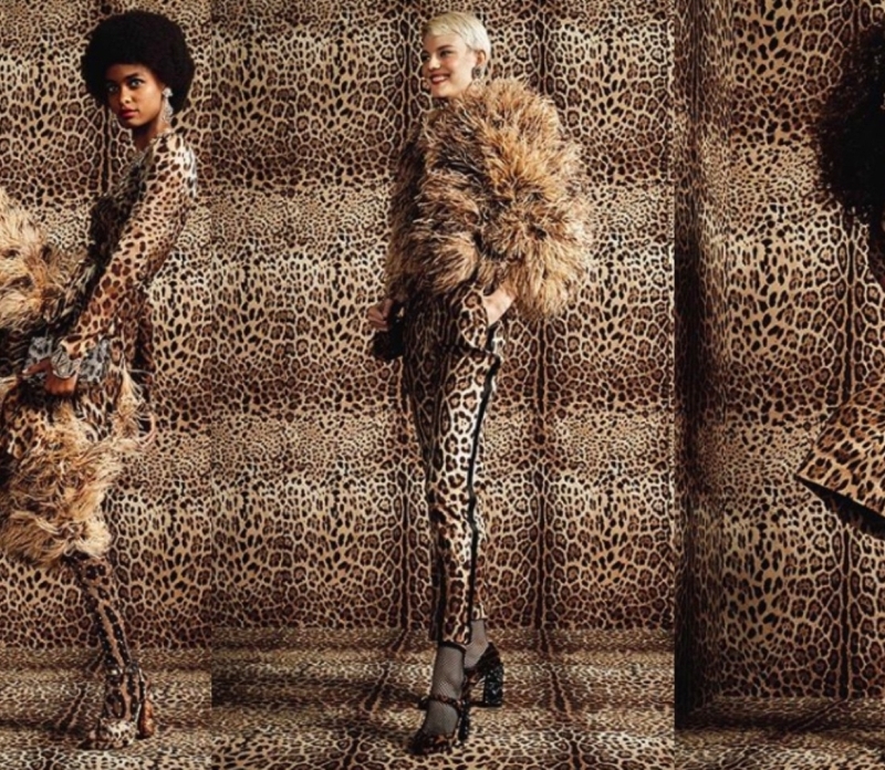 Call of the Wild: Animal Prints for Summer