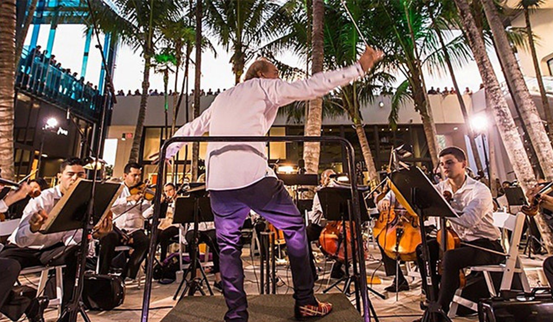 Miami Symphony Orchestra Presents: Music in Paradise